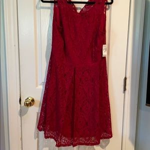 Petite Dress with lace